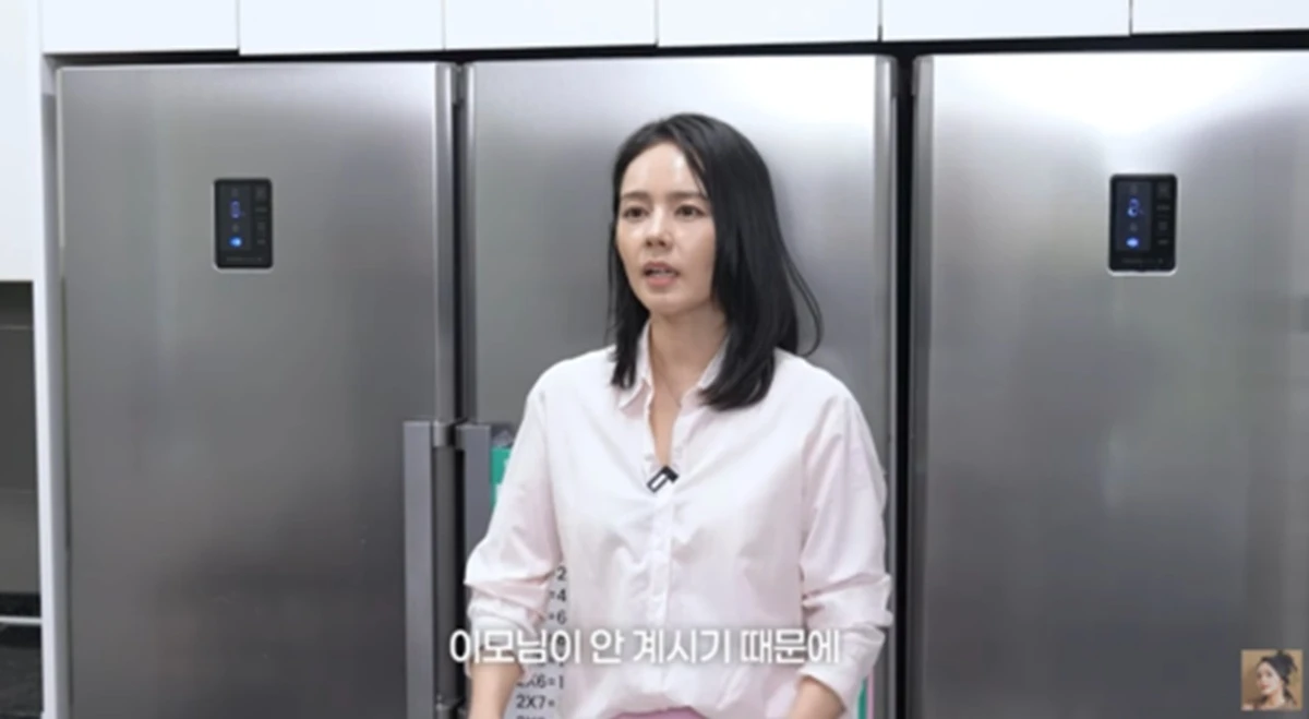 한가인 유튜브