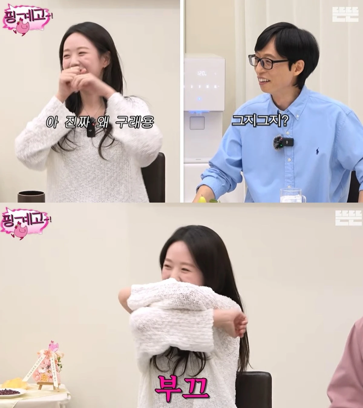 유튜브 '핑계고'