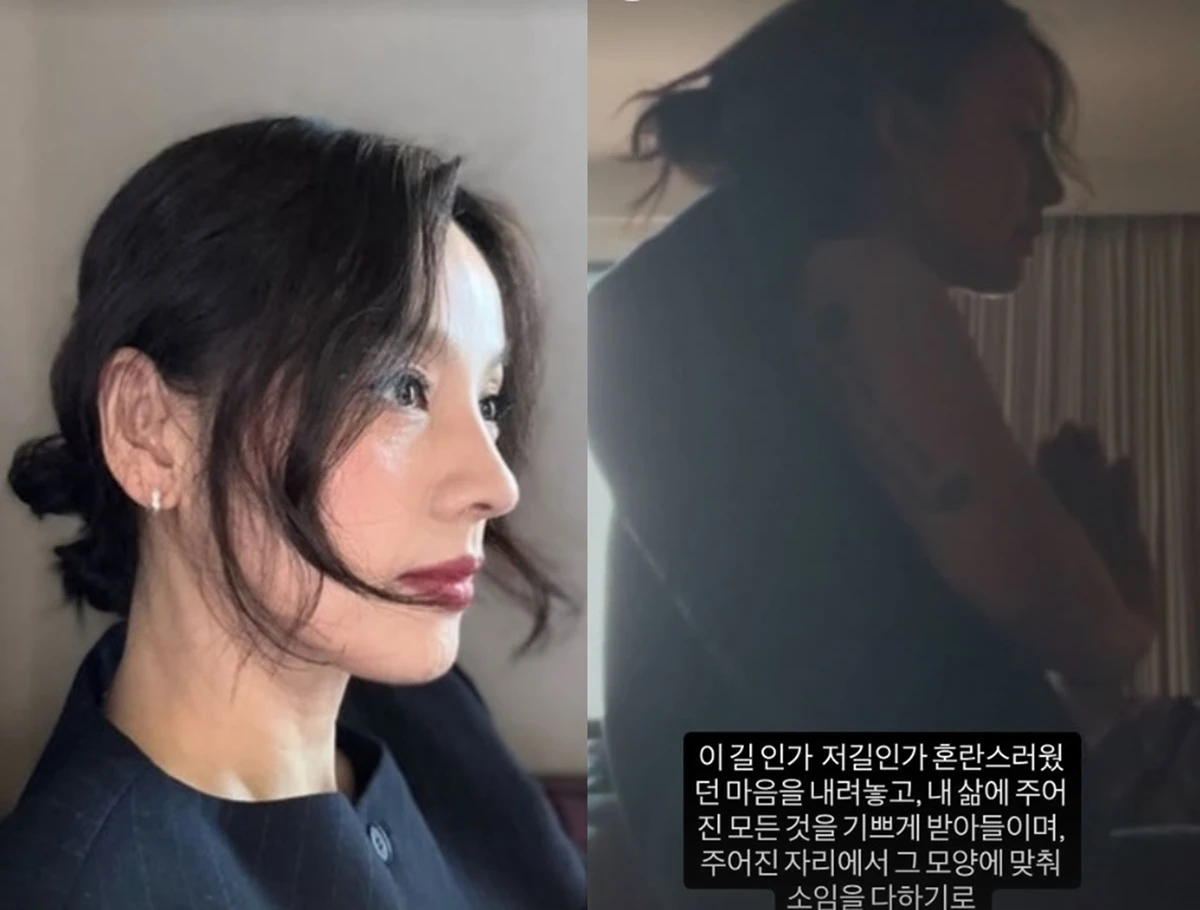 아난다 계정, 이효리
