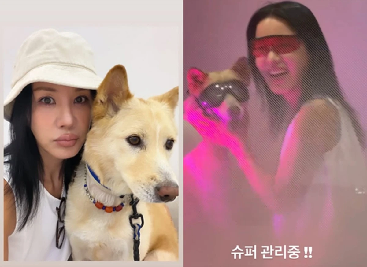가수 엄정화