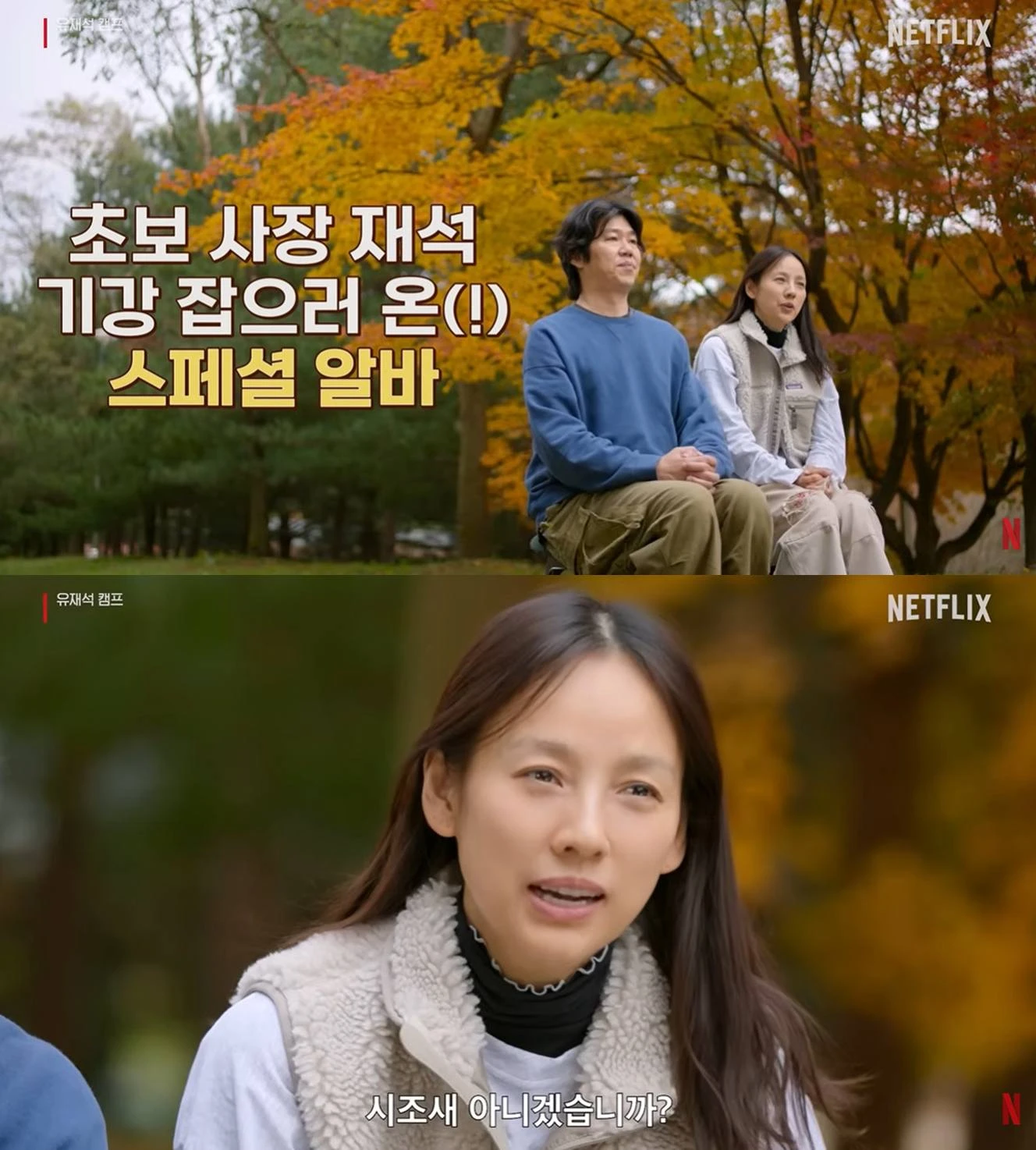 넷플릭스