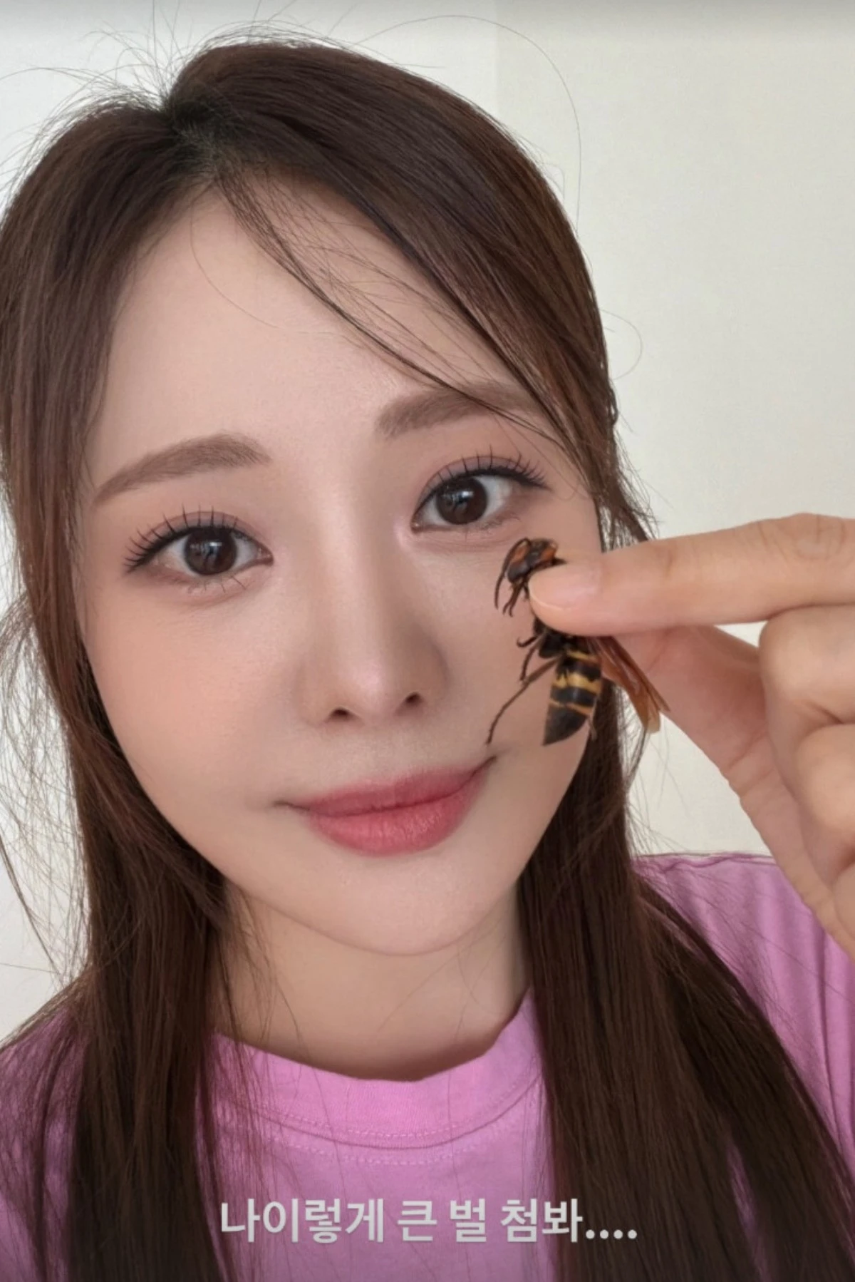 아옳이 계정