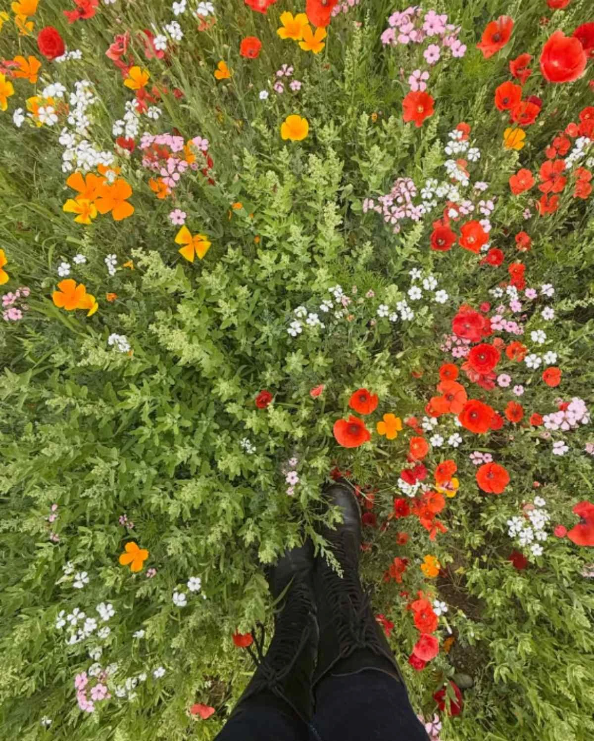 사진 = 김규리 인스타그램