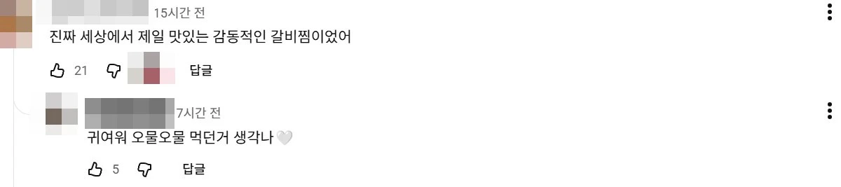 사진 = 김지영 유튜브 댓글