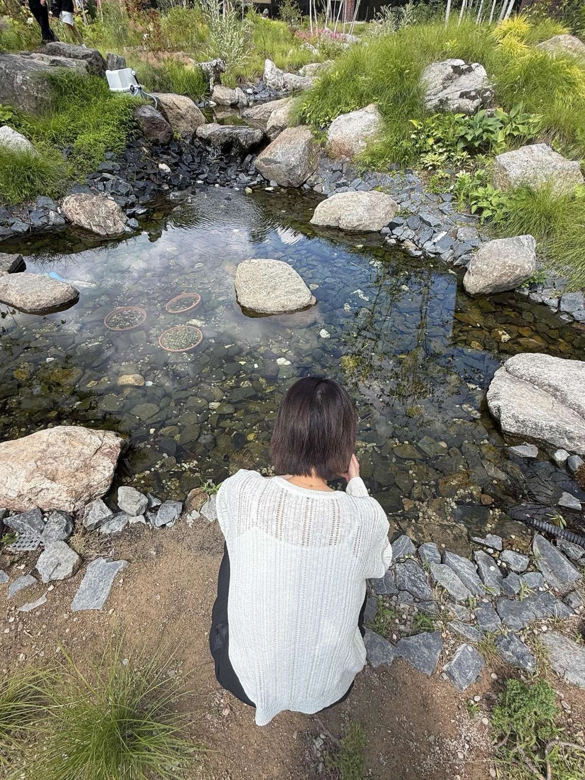 신지 계정