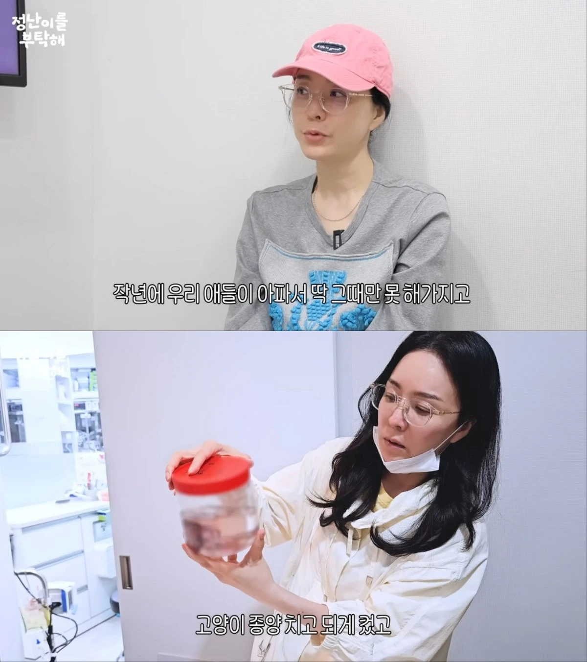 김정난, 반려묘 간암 수술