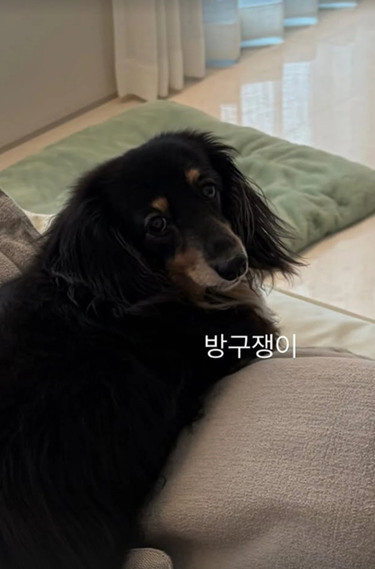 정경호 계정