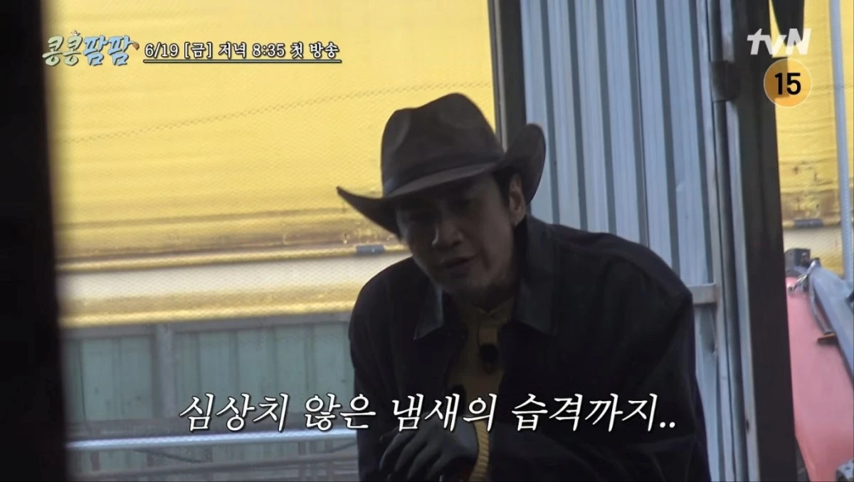 사진 = tvN '콩콩팜팜' 예고