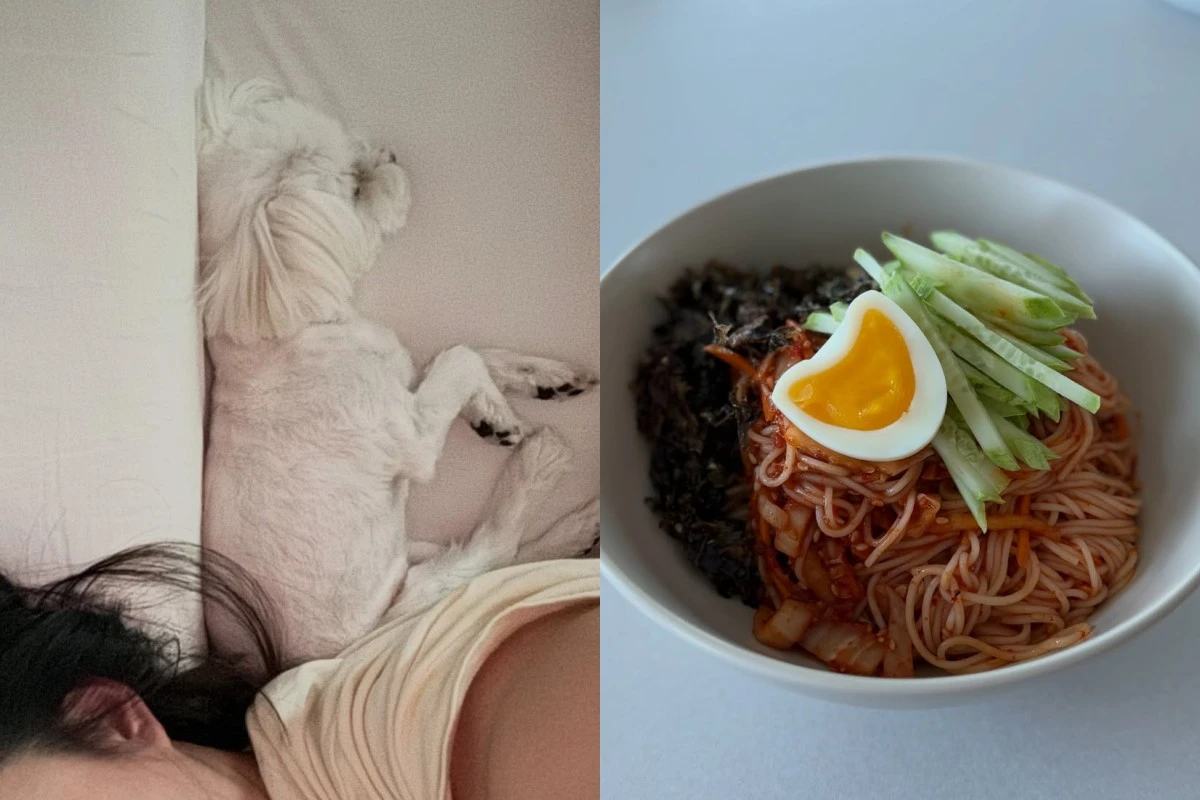 남보라 계정