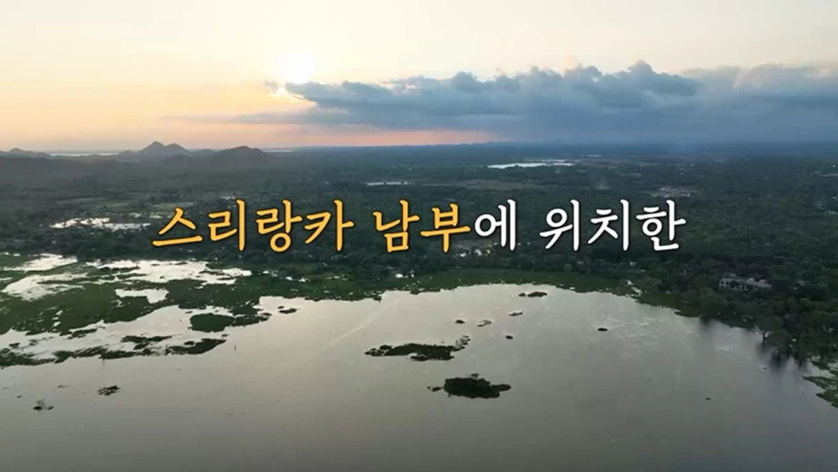 E채널·채널S ‘끝까지 간다! 독박투어’