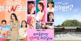 연프 질린다더니…'돌싱'·'모솔'·'가족' 통했다, 시즌2 줄줄이 [엑's 이슈]