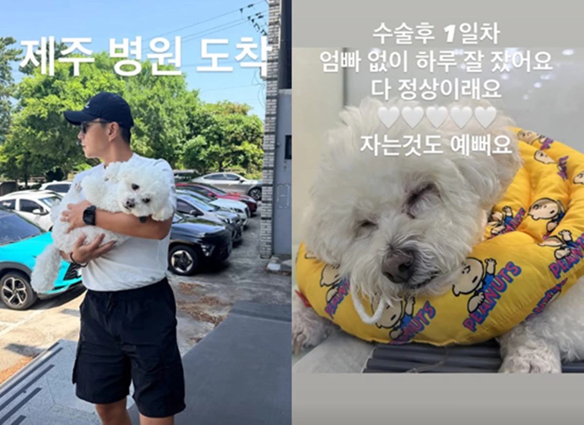 진태현