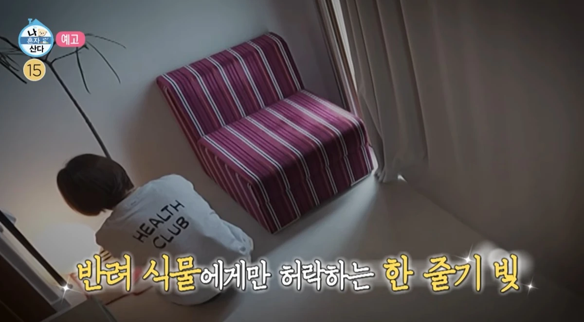 MBC '나 혼자 산다'