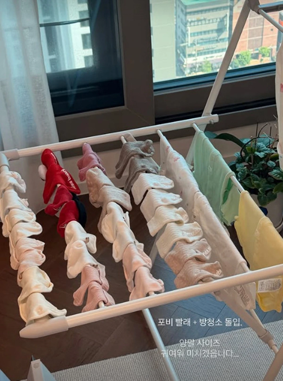 사진 = 김지영 SNS