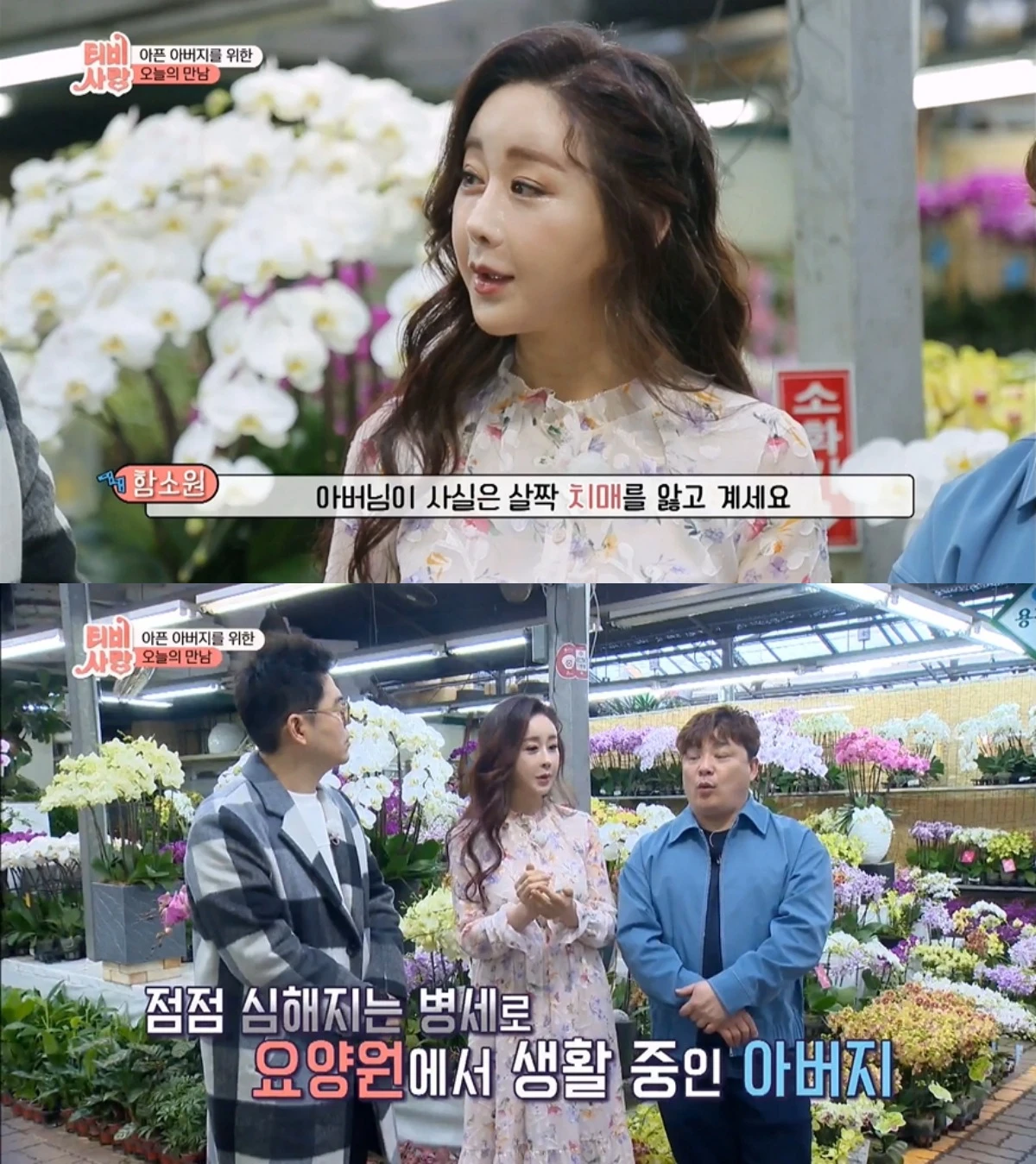 'TV는 사랑을 싣고' 방송 캡처