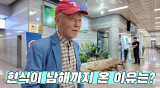 '81세' 임현식, 핼쑥한 근황…"검사만 3개월, 6개월 째 투약 중" (박원숙채널)