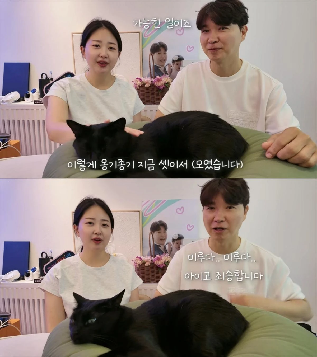사진 = 박수홍 유튜브 채널 영상 캡처
