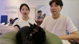 '55세' 박수홍, ♥김다예와 둘째 계획 입 열었다…"20개월 딸 재이가 원하면" (행복해다홍)
