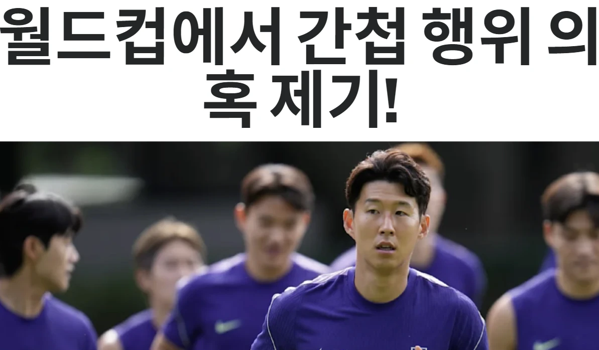 독일 빌트 한국어 번역판