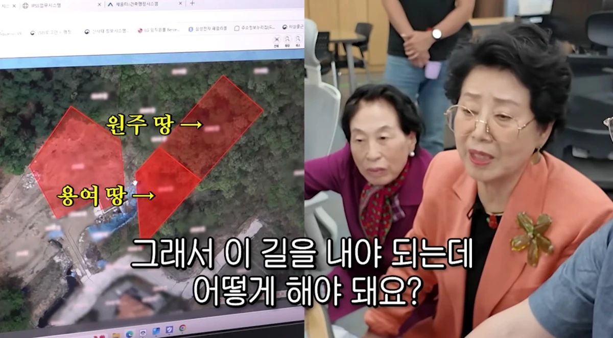 유튜브 채널 '순풍 선우용여'