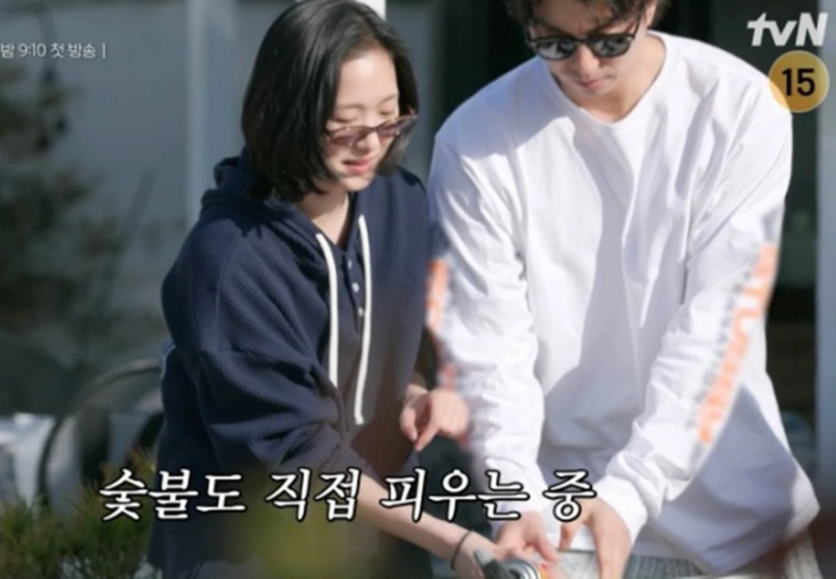 tvN