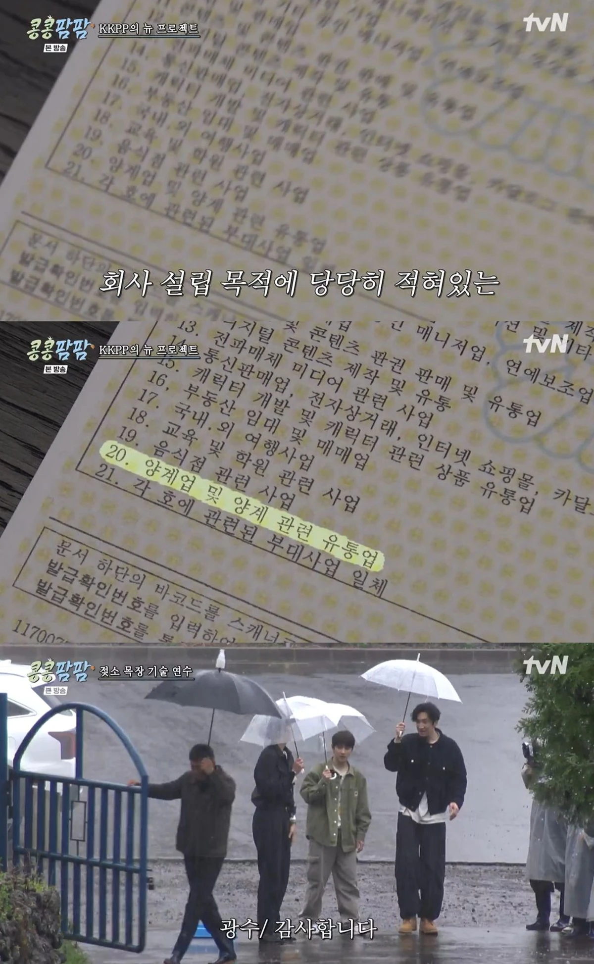 tvN '콩콩팜팜' 캡쳐