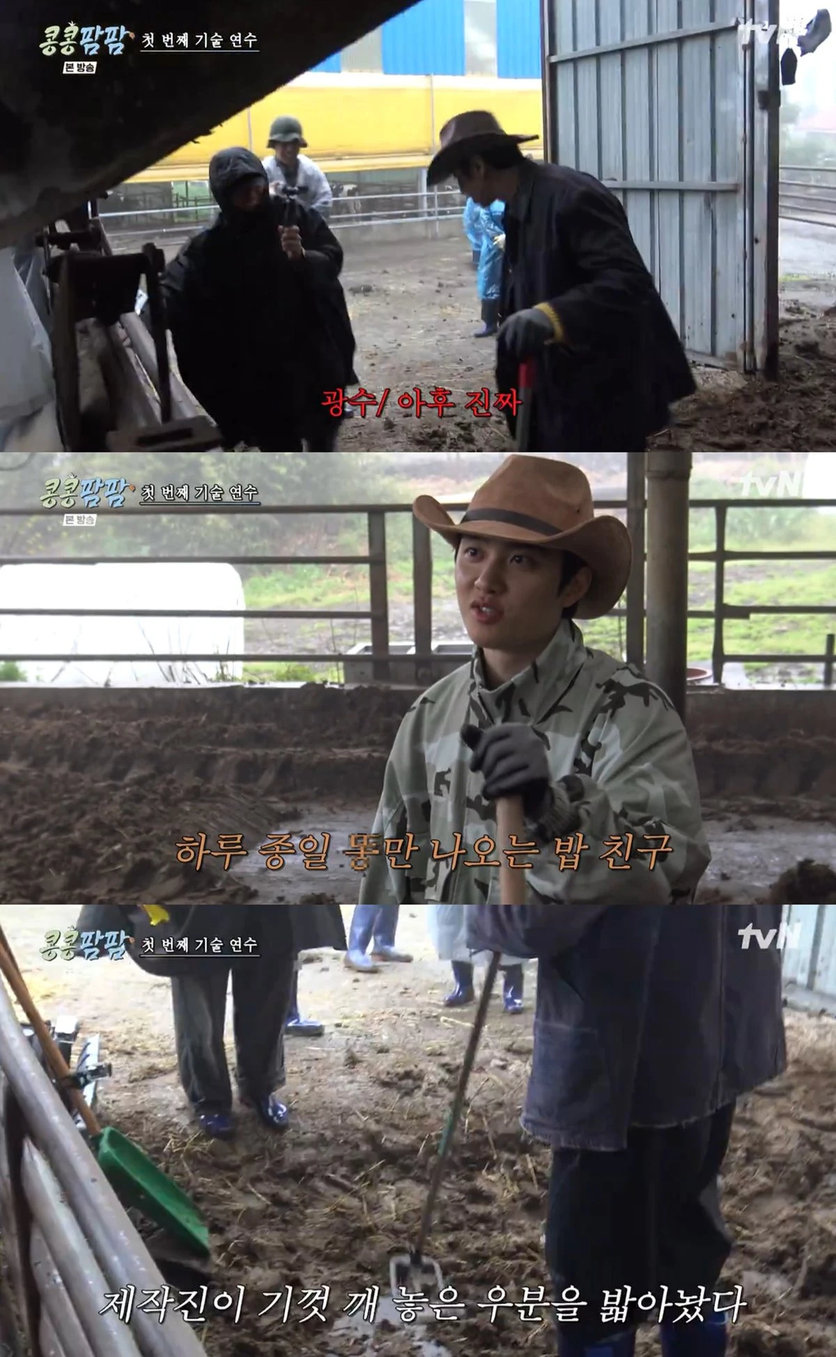 tvN '콩콩팜팜' 캡쳐