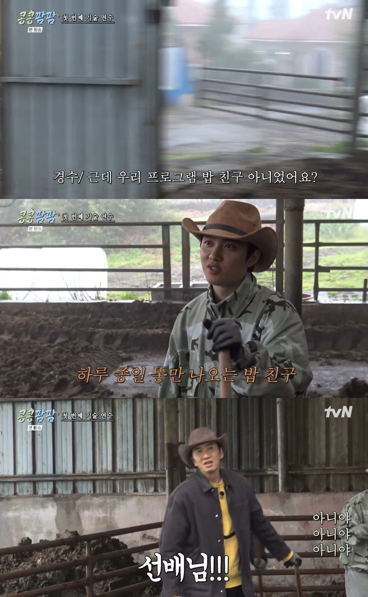 tvN '콩콩팜팜' 캡쳐