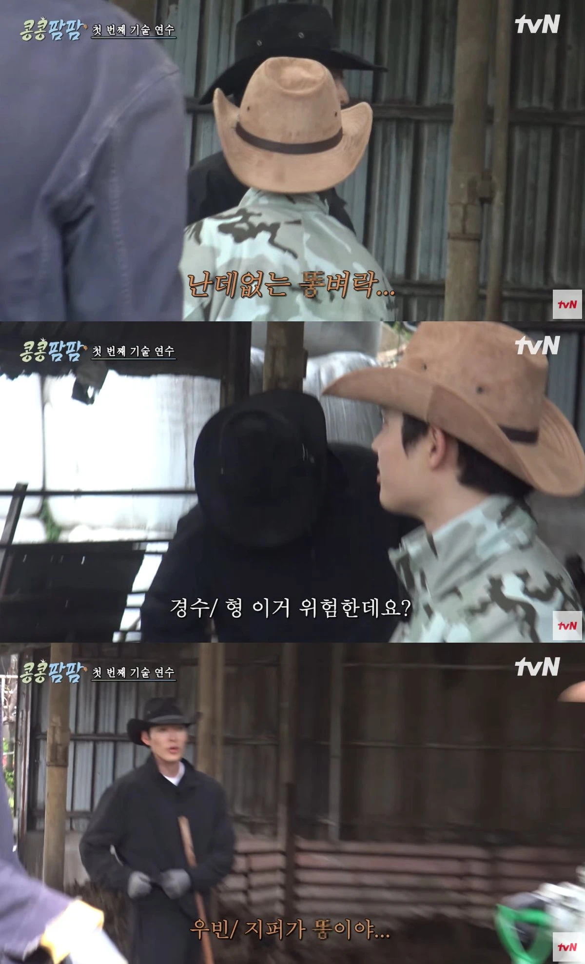 tvN '콩콩팜팜' 캡쳐