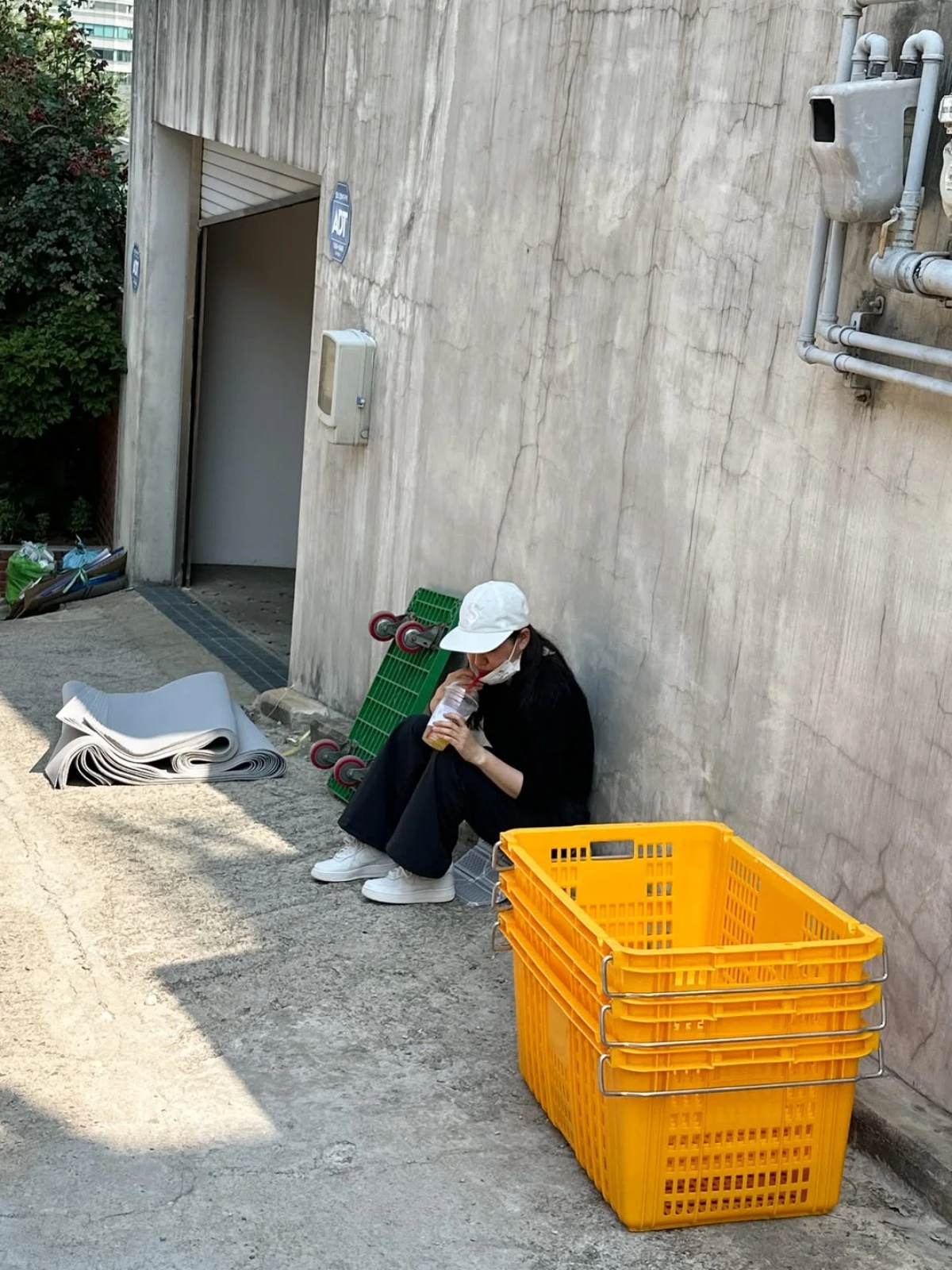 송가인 계정