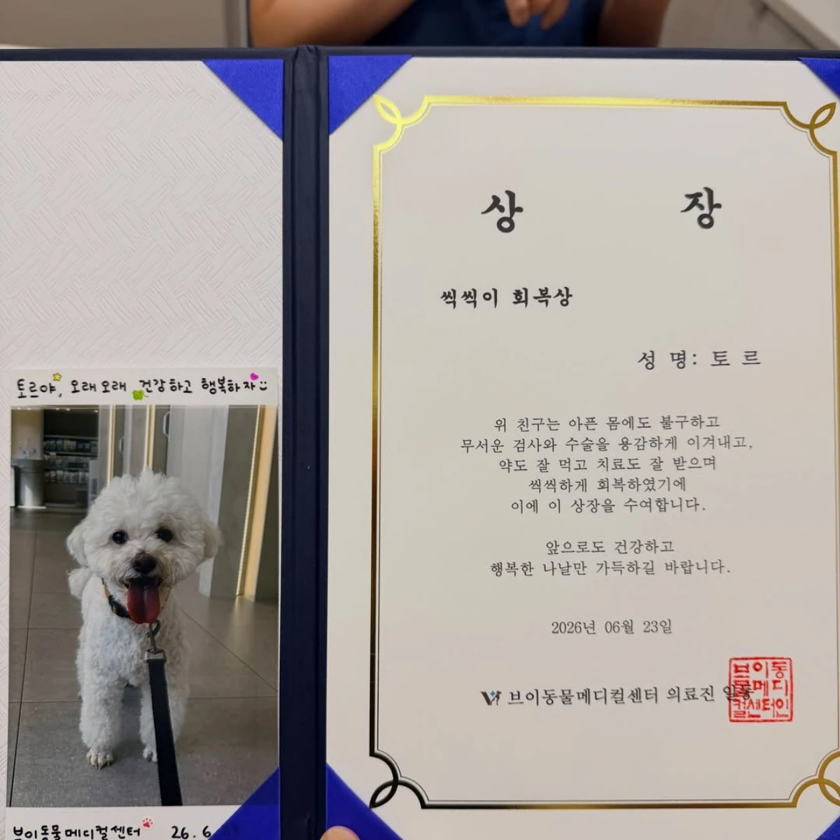 진태현 계정