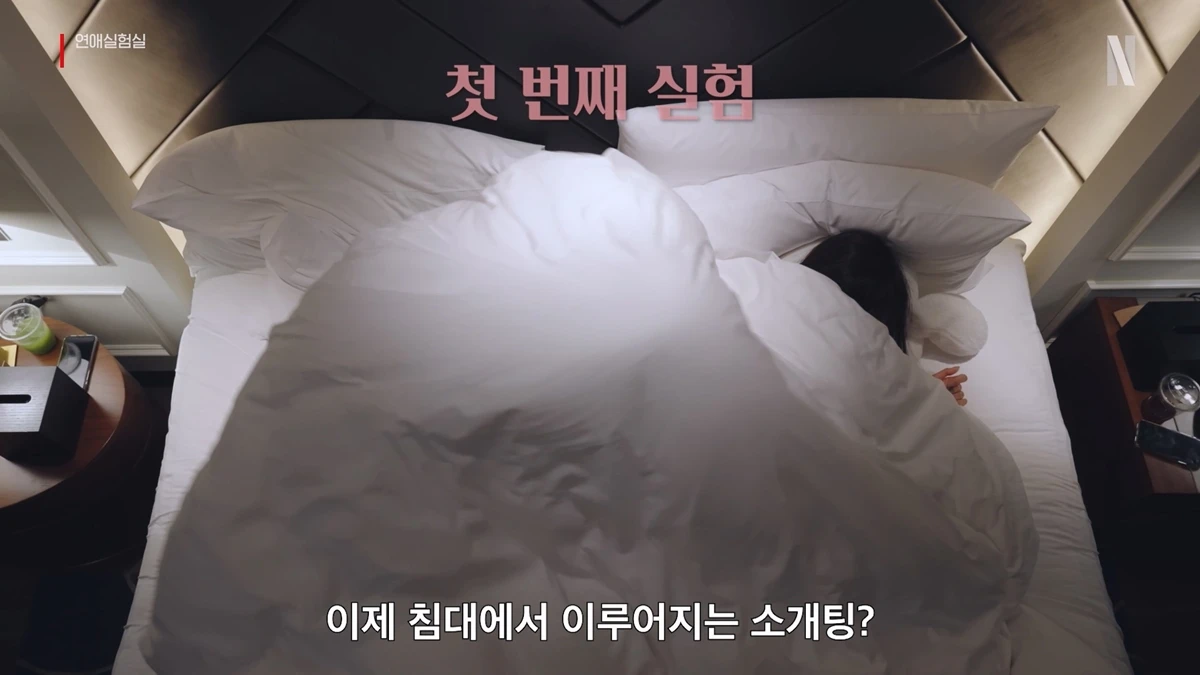 넷플릭스 '연애실험실'