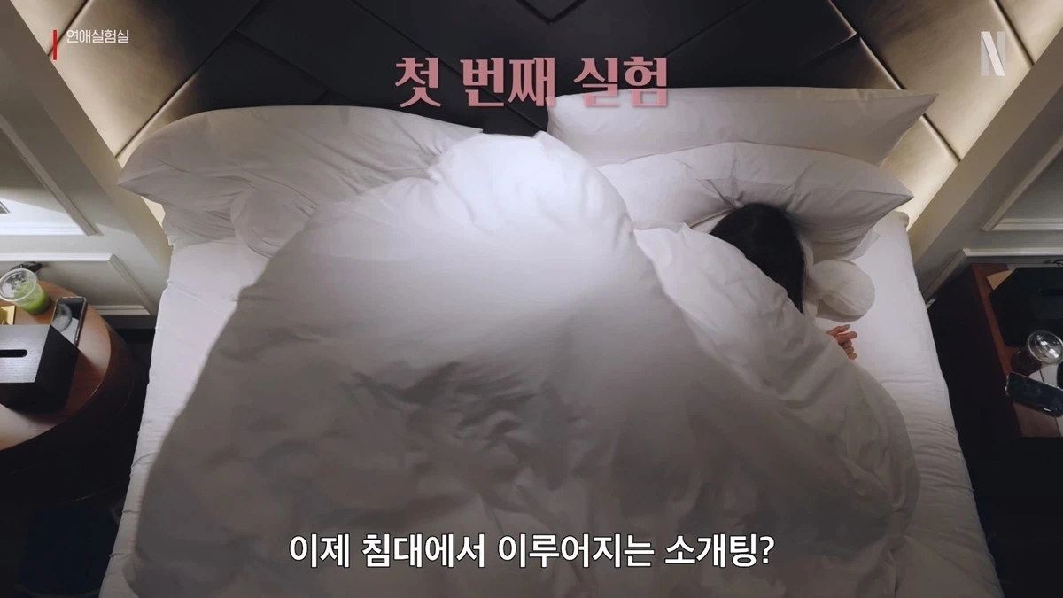 넷플릭스 '연애실험실'