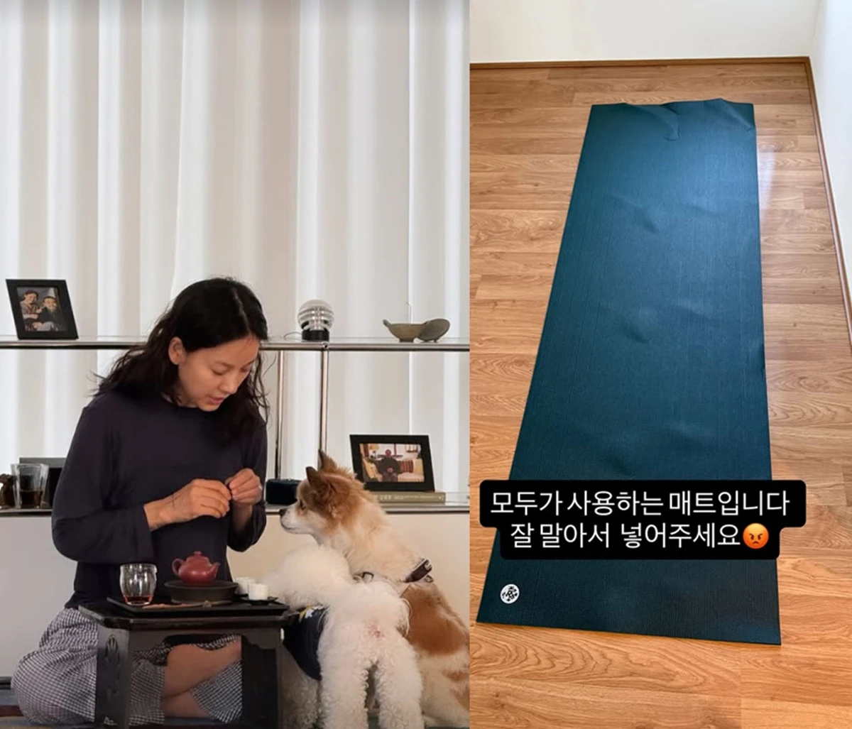 이효리가 공개한 요가원 근황.