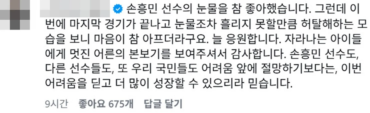 사진 = 손흥민 SNS, 나종호 교수 댓글 