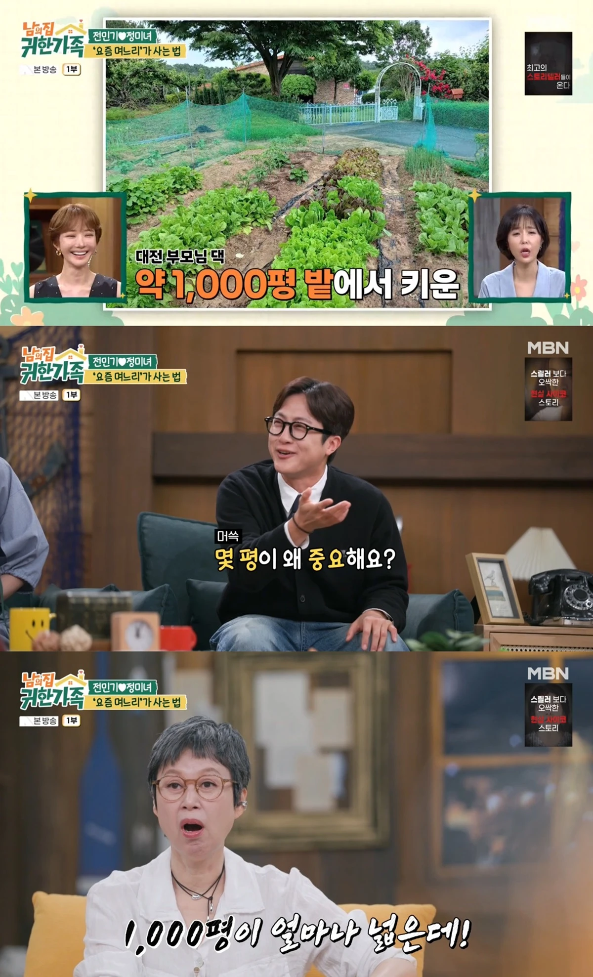MBN '남의 집 귀한 가족'