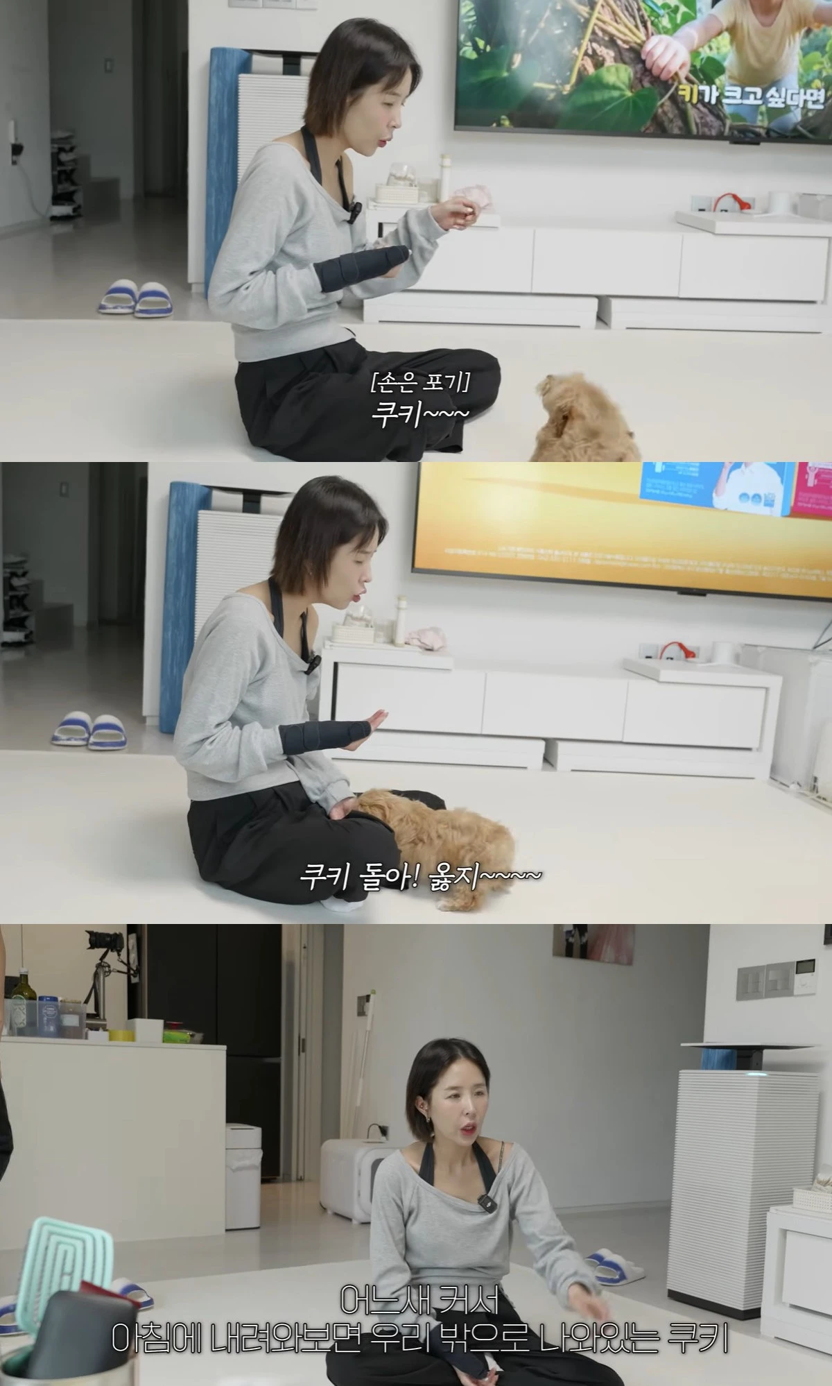 유튜브 '어떠신지' 캡쳐
