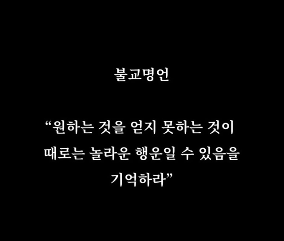 문채원 SNS