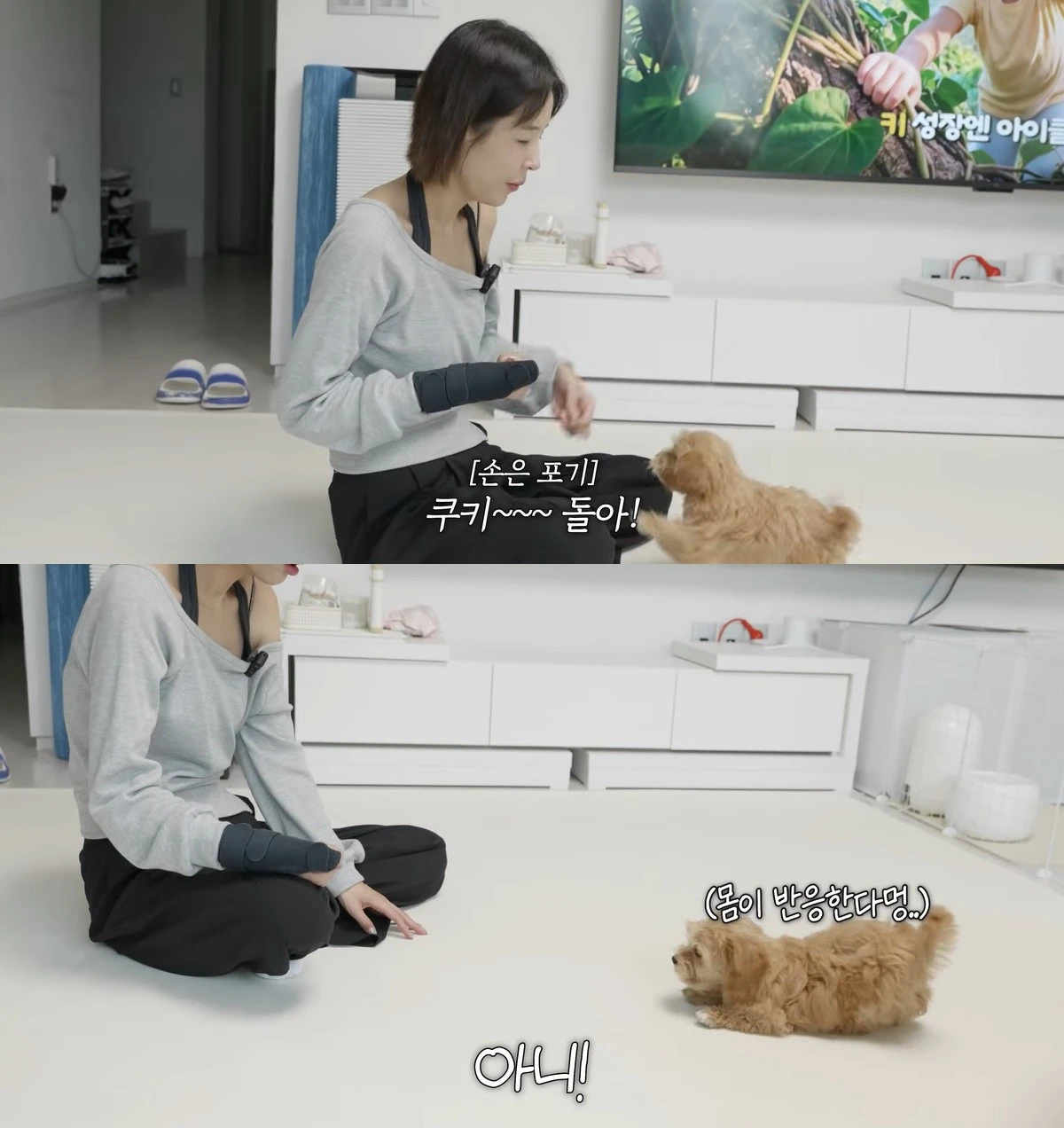 유튜브 '어떠신지' 캡쳐