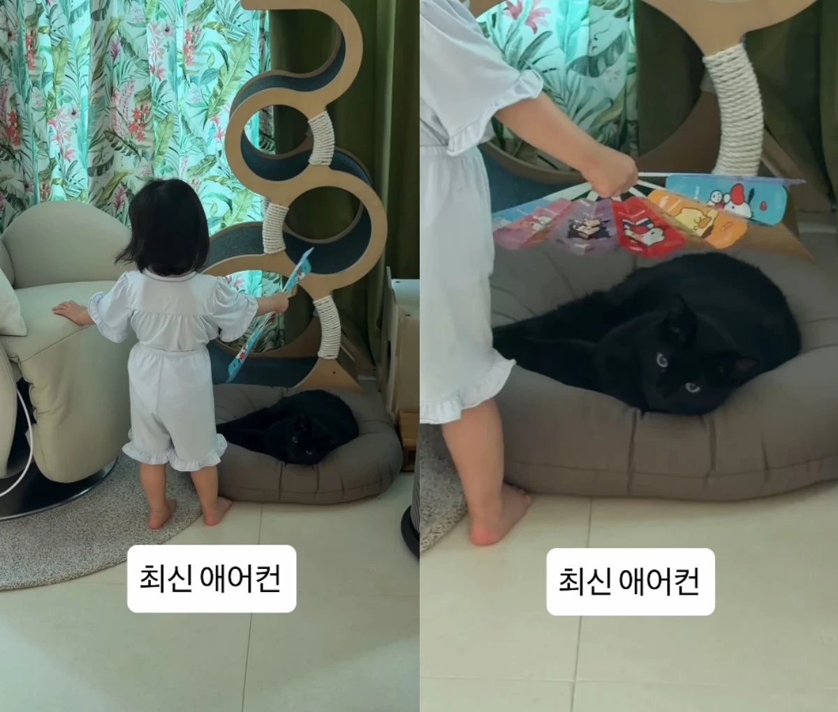 사진 = 박수홍 계정 영상 캡처