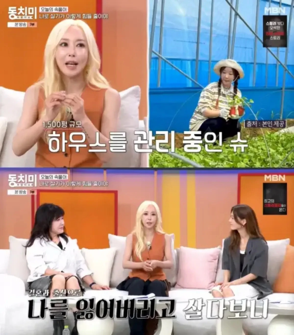 '동치미'.