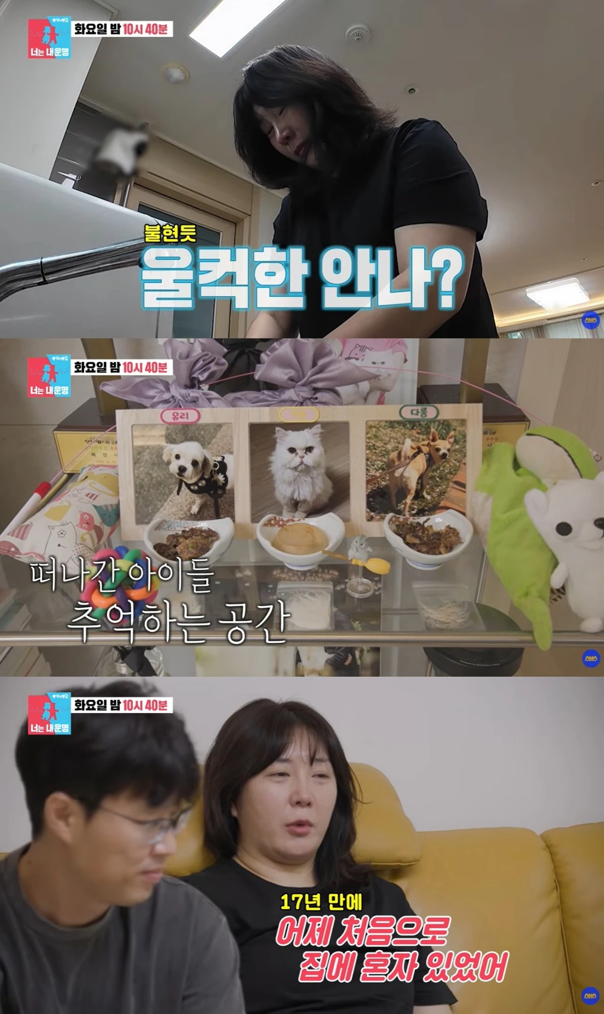 '동상이몽' 선공개 캡처