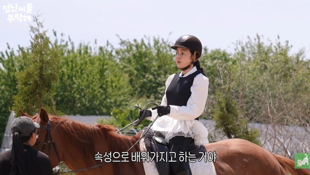 유튜브 '김정난' 캡쳐