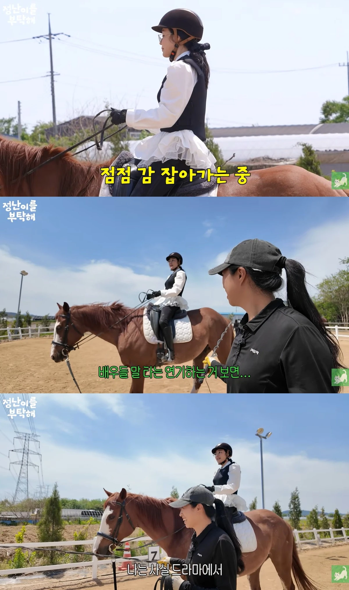 유튜브 '김정난' 캡쳐