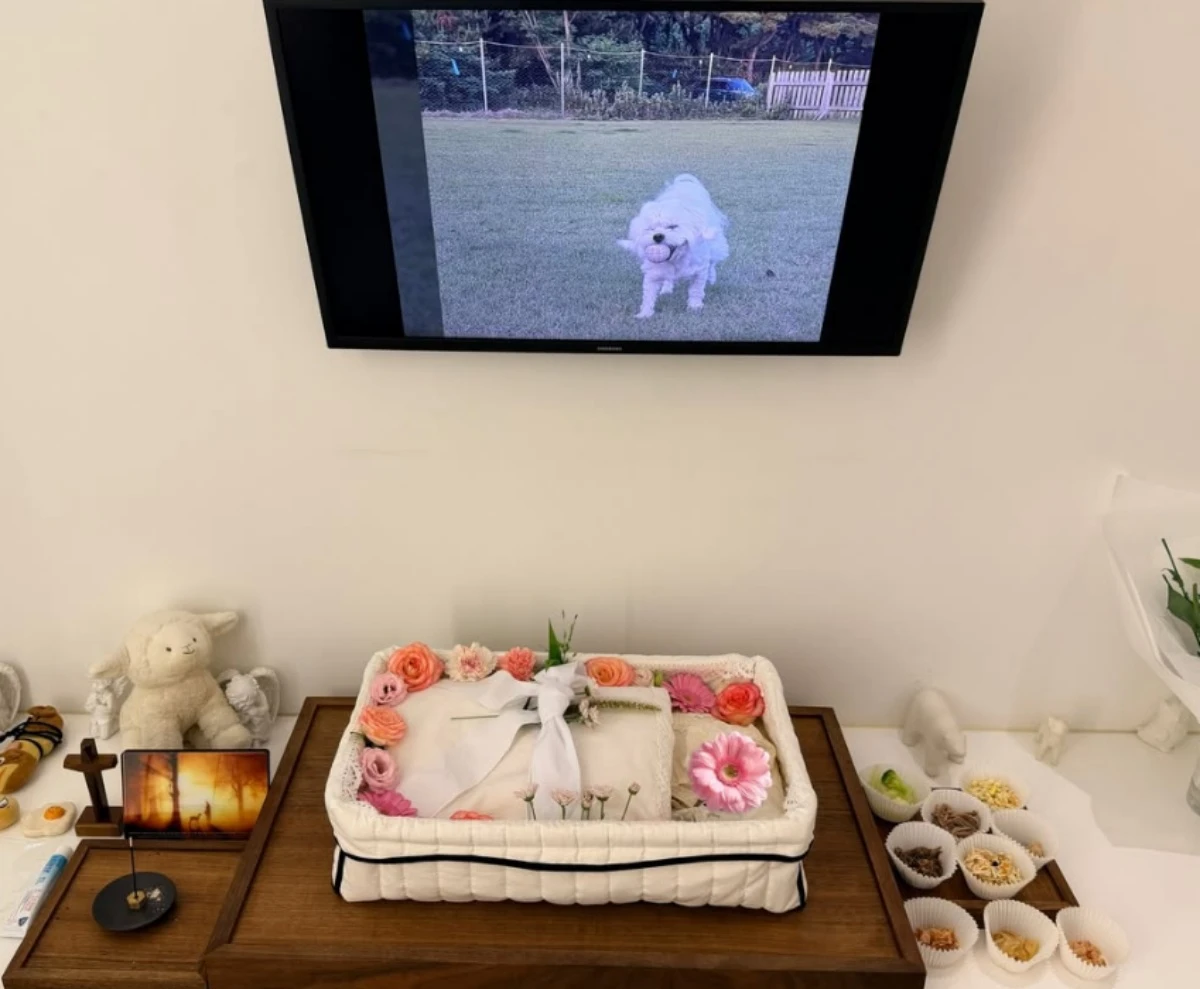이보람 SNS.