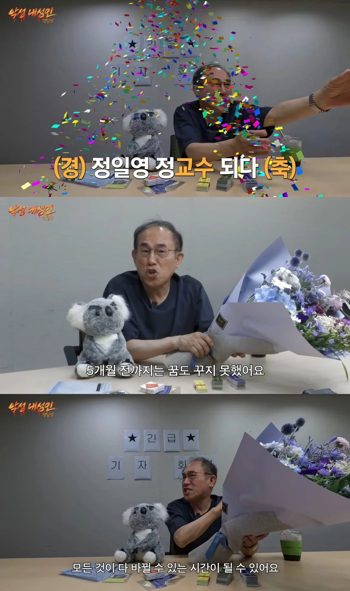 유튜브 채널 '악성 내성인 정일영' 캡처