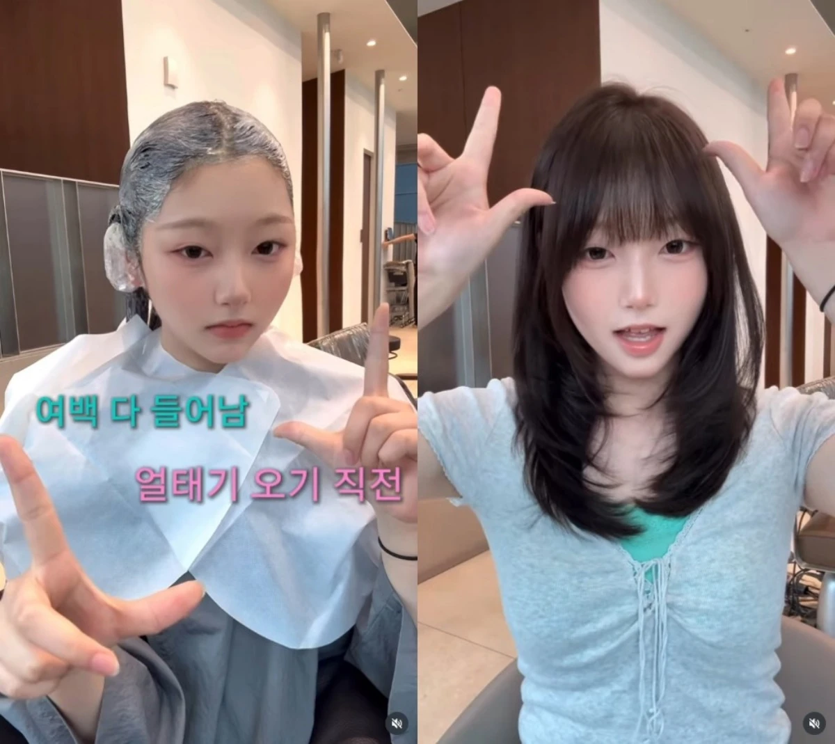 온라인 커뮤니티
