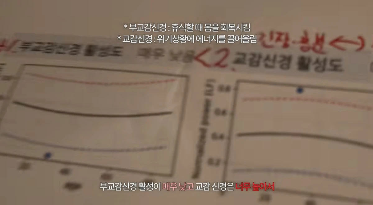 유튜브 채널 '일단이나연'