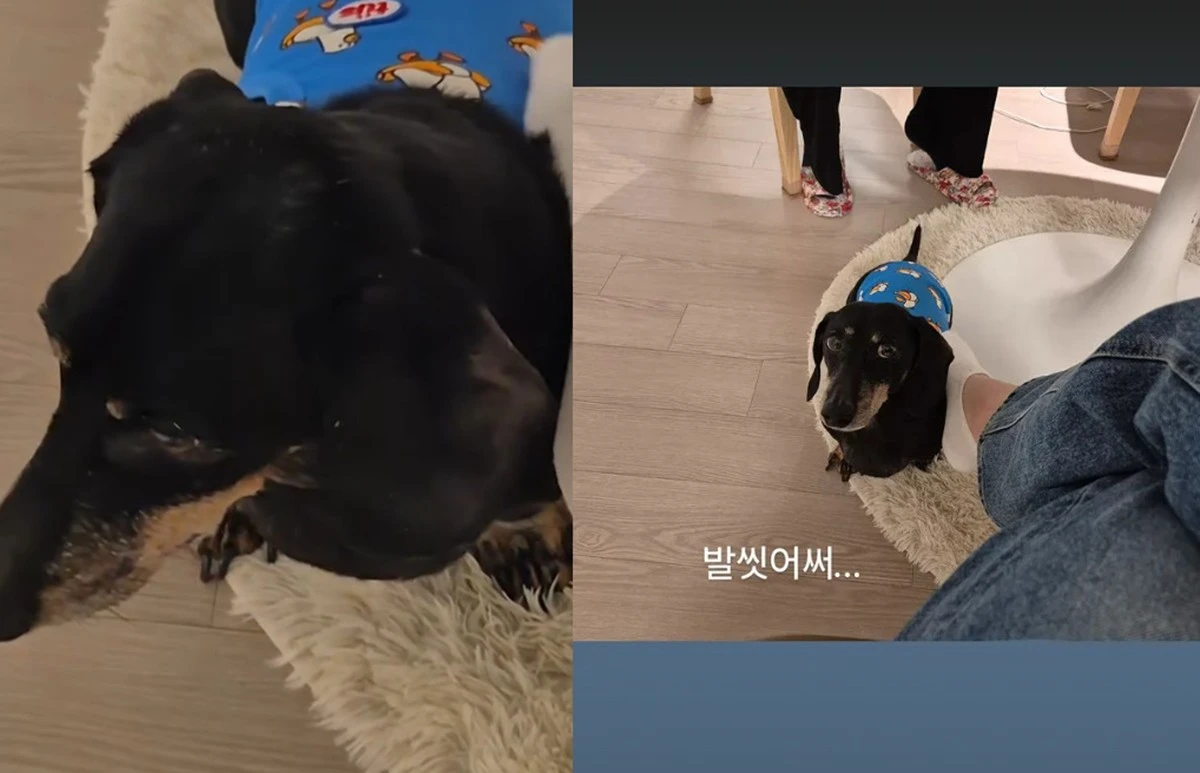사진 = 김연아 SNS