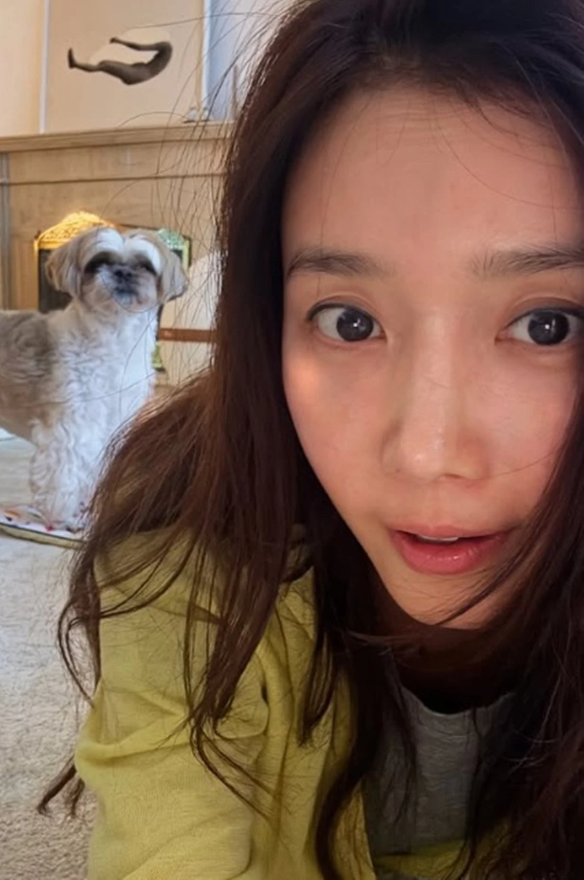 채정안 SNS